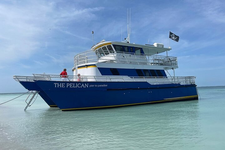 4-Hour St. Pete Pier to Egmont Key Experience by Ferry - Photo 1 of 9